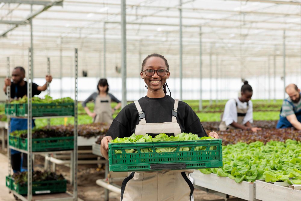 If you have been searching for how to start vegetable farming in Nigeria, this guide will walk you through everything in a simple and practical way